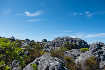Rocky landscape with low vegitation and blue sky. Table Mountain cableway station, South Africa..