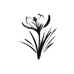 Crocus flower. Minimalist painting with brushstrokes in black paint. Hand-painted primitive art. Isolated vector