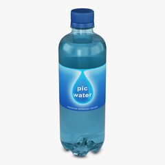 Illustration 3D Pic Water Bottle 450ml Simple