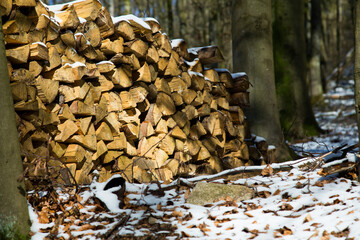 Stacked Firewood in Winter Forest.  A neatly stacked pile of firewood is covered with a tarp in a snowy forest, illuminated by the soft winter sunlight. The contrast between the warm tones of the wood