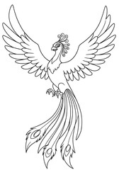 Fototapeta premium phoenix coloring 