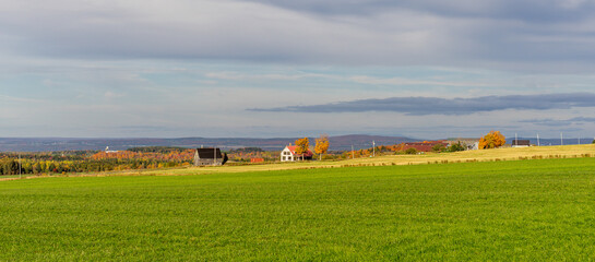 Obraz premium Autumn landscape, view of the forest