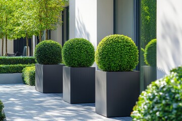 Fototapeta premium Minimalist Garden Design with Tall Planters Featuring Vertical Standards Modern Architecture Outdoor Environment Contemporary Viewpoint