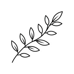 olive branch