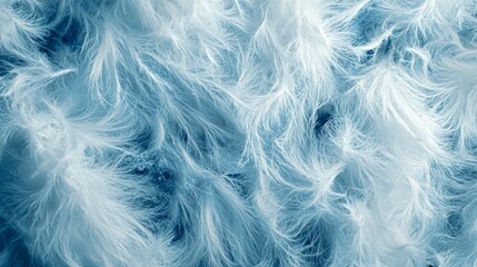 Obraz premium Soft Blue Textured Background with Fluffy and Light Feathers