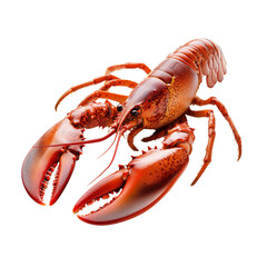 Lobster with vibrant red color and large claws, showcasing intricate details and textures. This seafood delicacy is often associated with gourmet cuisine and coastal dining experiences