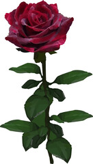 Obraz premium red rose leaves and branch vector20