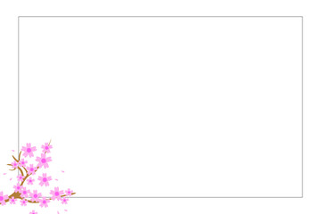 Beautiful elegant branch of Japanese cherry. Delicate pink flowers and sakura petals. Spring blooming. Seasonal phenomenon. Botanical ornament. Romantic atmosphere. Isolated white background. Frame.