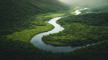 A lush, green landscape featuring a gently winding river, embraced by dense forests under soft, radiant light.