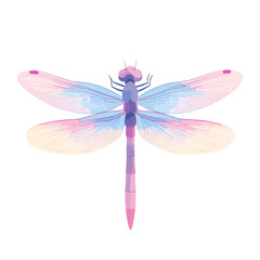 dragonfly on white background