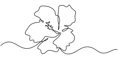 Hibiscus flower in one continuous line drawing vector illustration, Hibscus Flower Continuous Line Drawing  with Editable Stroke, Continuous One Line Hibiscus Flower   Minimalist Floral Vector. © line draw