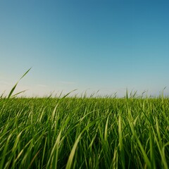 Obraz premium Serene Green Field Under a Clear Blue Sky Representing Harmony Between Earth and Sky.