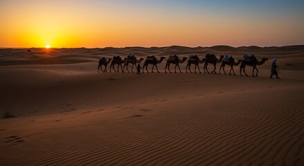 Camel Caravan Walking Across Sandy Desert at Sunset Travel Adventure