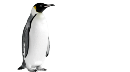 Penguin standing proudly on ice antarctica wildlife photography cold environment close-up view nature's majestic creature