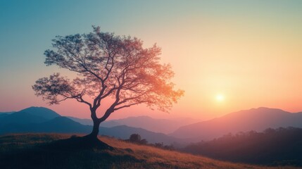 Silhouette of dry tree with beautiful sunrise on the mountain. Romantic dawn light with copy space.