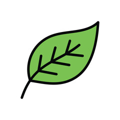 Leaf Vector icon