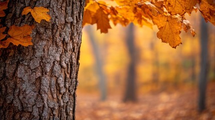 Obraz premium A textured tree trunk stands amidst an autumn forest, its bark contrasting the rich, golden leaves, creating a vivid and rustic atmosphere.