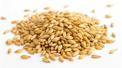 Heap of Barley Grains