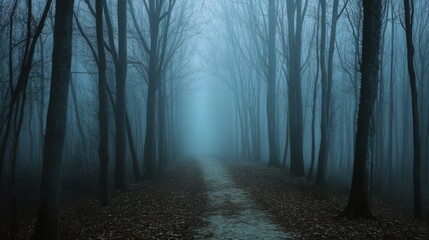 Fototapeta premium A foggy forest path flanked by bare trees creates an aura of mystery and calm, leading into the unknown.