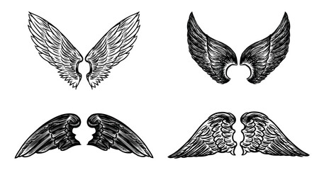 Hand drawings of four pairs different mythological angel wings, vector sketches isolated on white