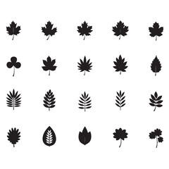 Collection of Various Leaf Silhouettes