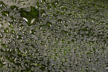 details of pumpkin peel for nutrition