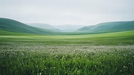 Fototapeta premium Expansive rolling hills carpeted in vivid green grass stretch under an overcast sky, offering a lush and enveloping sense of freedom and space.