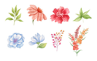 Obraz premium Watercolor floral elements set