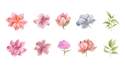 Watercolor floral elements collection
