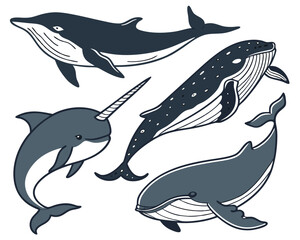 Naklejka premium Vector Set of Whales and Dolphins – Marine Mammals Illustration Collection