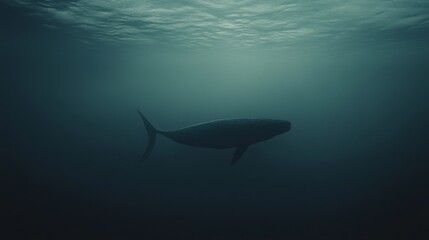 Obraz premium A majestic whale swims gracefully through the deep, mysterious ocean, silhouetted by the soft, ethereal blue light of the water.
