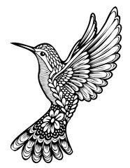Hummingbird Coloring Page Vector