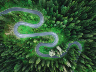 Aerial view of mountain curvy road and green forest in summer. Dolomites, Italy. Top view of...