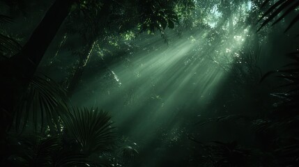 Fototapeta premium Sunlight Filtering Through Dense Jungle Canopy in Lush Forest