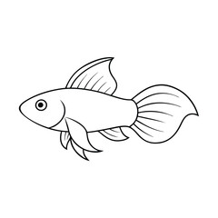 Betta Fish vector illustration