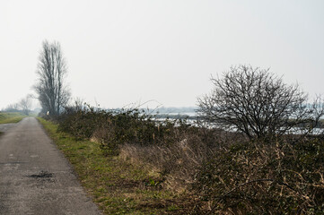 the river Po inside its Veneto side Delta during a winter season, Rovigo, Italy