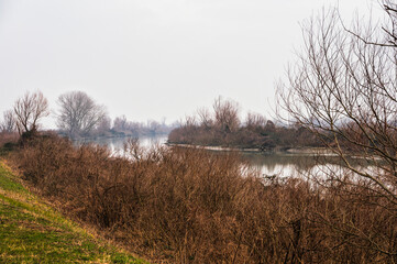 the river Po inside its Veneto side Delta during a winter season, Rovigo, Italy