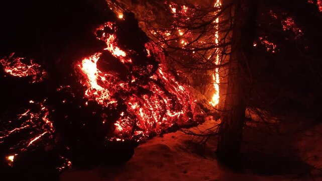 Mount Etna volcano eruption 2025 lava flow inside the forest