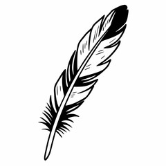 Obraz premium feather isolated on white background