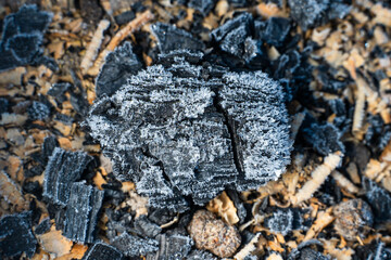 Ash and unburned coals from a fireplace close-up in ice crystals and frost