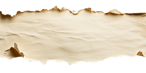 Ancient Parchment Scroll: A weathered, antique parchment scroll with burn marks and torn edges, ideal for adding a vintage or medieval feel to your design projects.  