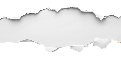Torn Paper Banner: A horizontal banner of ripped paper with a ragged, irregular edge creates a distressed, grunge aesthetic, perfect for adding texture and visual interest to designs.