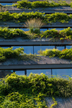 Close-up of a contemporary building with multiple layers of green rooftop terraces covered in diverse plants. Concept of sustainable architecture and urban garden greenery.