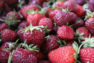Freshly harvested strawberries piled together in a vibrant display at a local market during the summer season