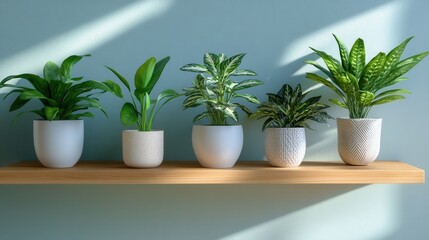 Collection of Lush Indoor Green Plants on Wooden Shelf in Bright Space