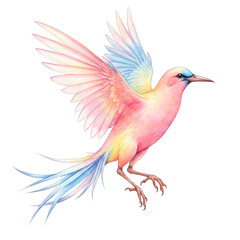 Obraz premium Magical Rainbow Bird in Flight, Watercolor Nature Art for Decor and Projects