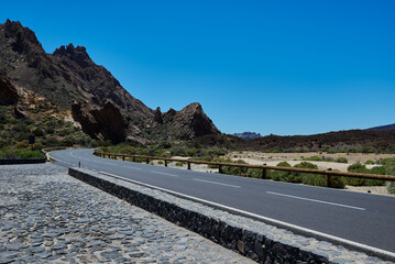 Landscape of vegetation and volcanic terrain in Teide National Park