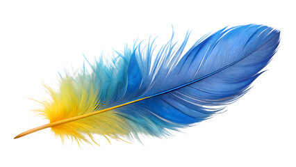 Blue-Yellow Feather with Gradual Color Transition on Transparent PNG Background