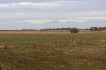 Green meadow stretches across the landscape 