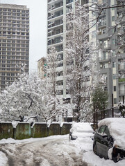 Snow-covered streets of the city on the Black Sea coast. Snowdrifts on the streets of Batumi, Unexpected frost in the south.